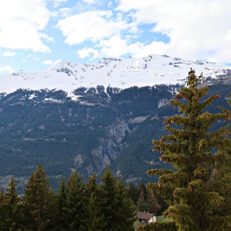 Chalet avec charme et vue à Crans-Montana - Chalet - 29