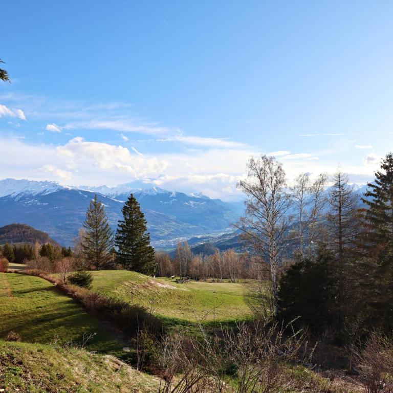 Chalet avec charme et vue à Crans-Montana - Chalet - 31