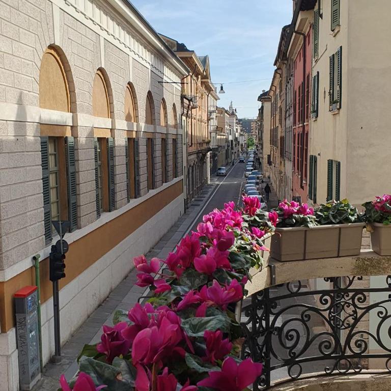 Cavallerizza flat - One-Bedroom Apartment - 7