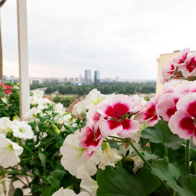 Ugi house - City Center - Apartman sa 1 Spavaćom Sobom - 3