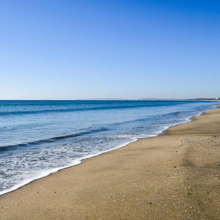 Le sable et pinède - Apartment mit 2 Schlafzimmern und Balkon - 38