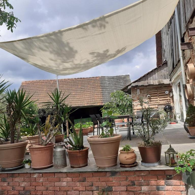 Apartment am Vierkanthof - Appartement avec Terrasse - 34