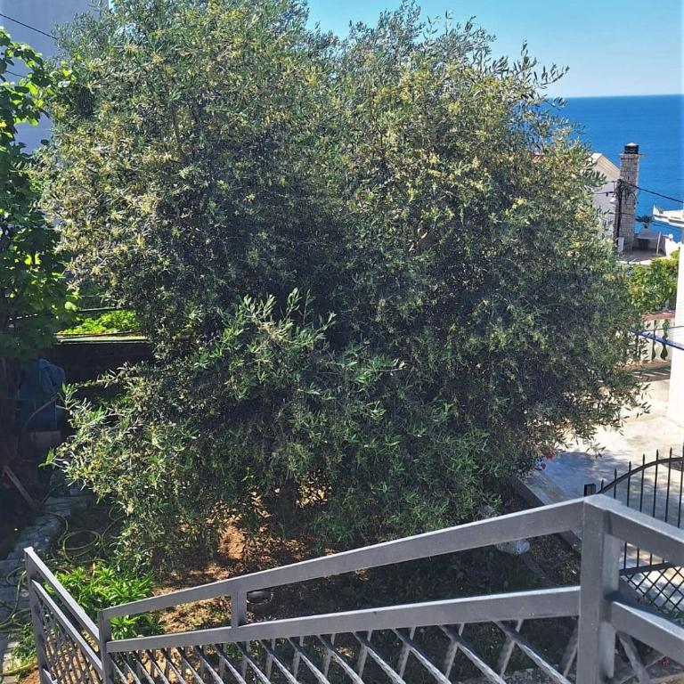 Larimar Cozy Apartment - Apartman sa 1 Spavaćom Sobom - 8