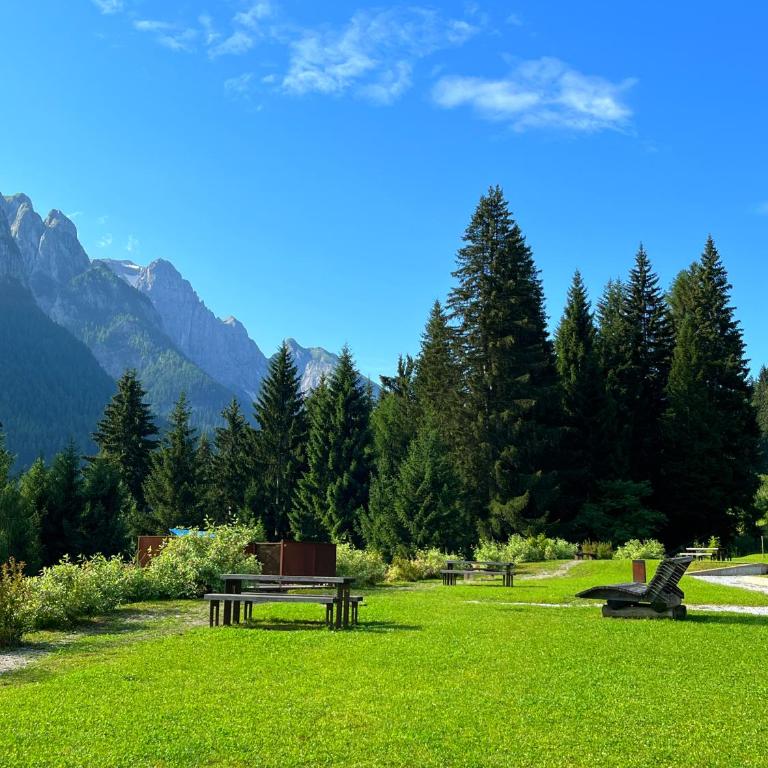 Charming Escape on the Slopes - Apartment Oliver Folgarida - Appartamento con 1 Camera da Letto - 11