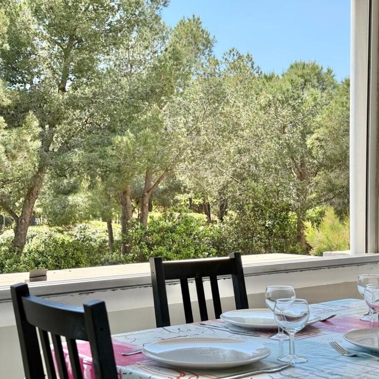 Studio Cozy - Loggia - Plage 200m - Apartment mit Gartenblick - 16