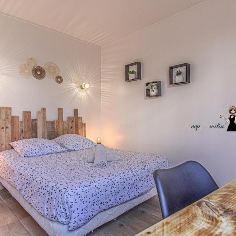 Le Bohème chic et cosy au cœur de Pau - Appartement 1 Chambre - 1