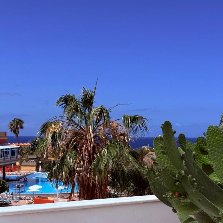 Costa Adeje Sunset Ocean View with Patio A By-Tenerife365 - Apartamento - 18