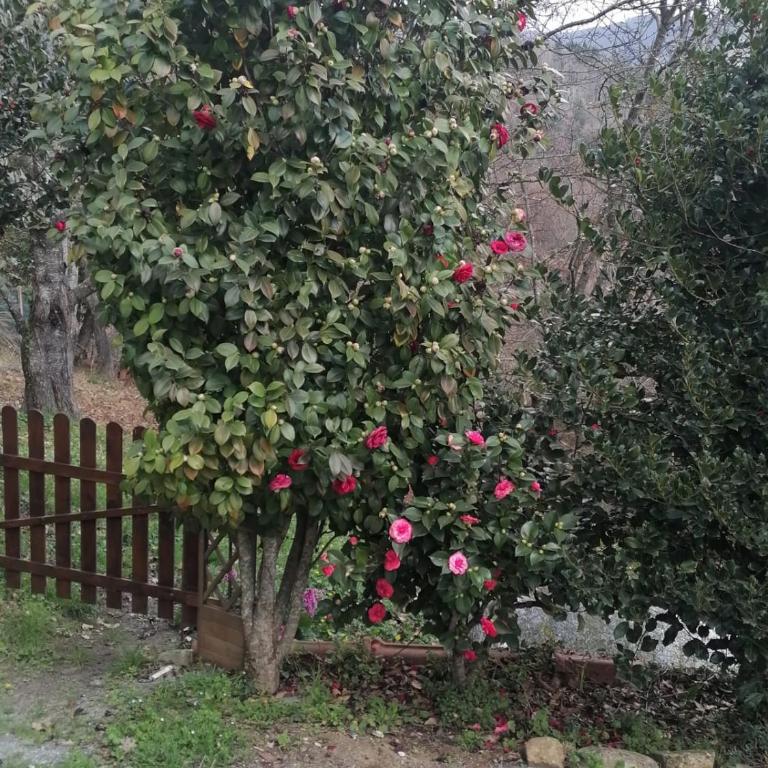 Tra il Mare e i Monti - Casa con 1 Camera da Letto - 22