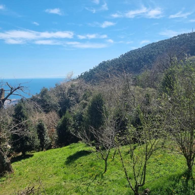 Tra il Mare e i Monti - Casa con 1 Camera da Letto - 58