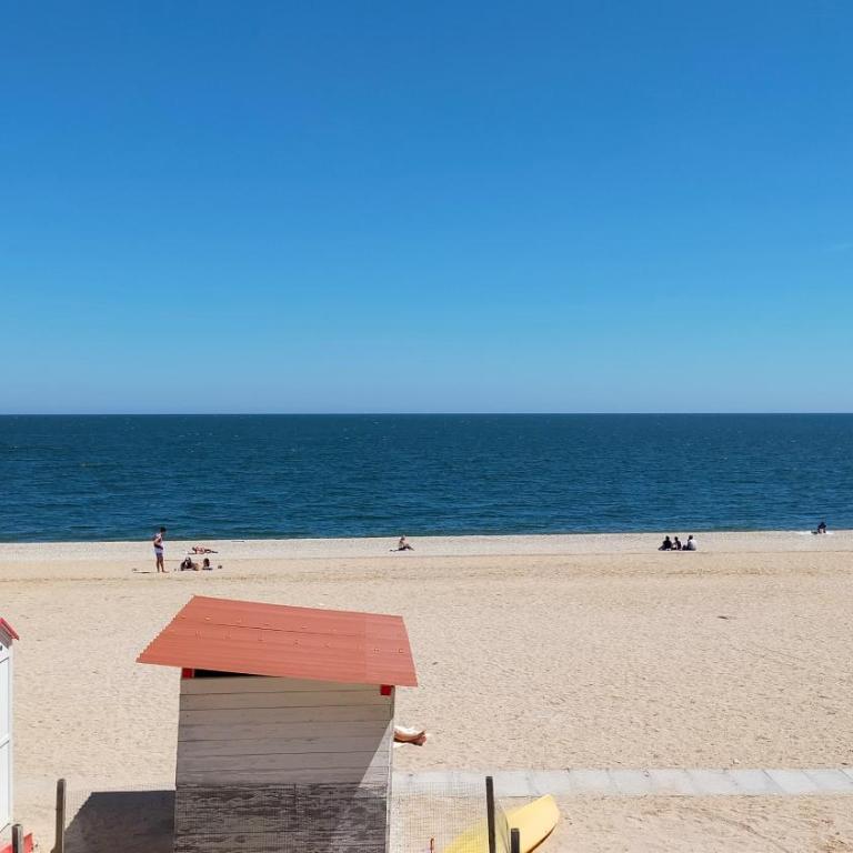 Bilocale con due bagni cod 496 FRONTEMARE CON SPIAGGIA INCLUSA - Appartamento con 1 Camera da Letto - 2