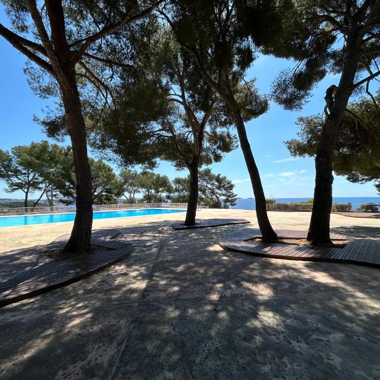 Horizon Bleu Bandol : appartement pieds dans l’eau - Appartement 3 Chambres - 33