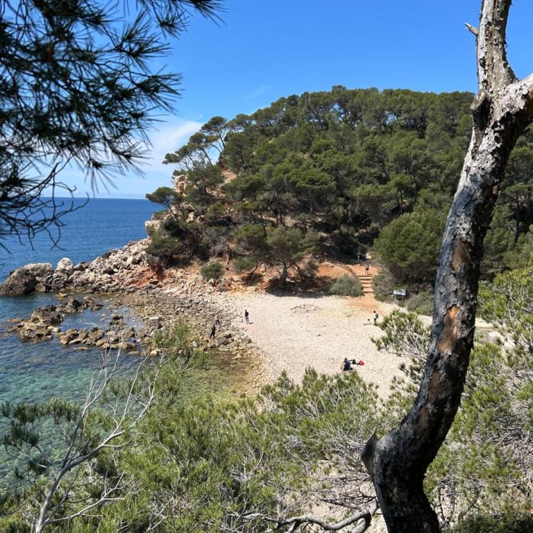 Horizon Bleu Bandol : appartement pieds dans l’eau - Appartement 3 Chambres - 39
