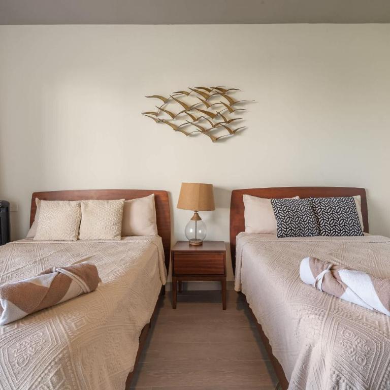 Luxury 2BD 2BA Ocean view 200m from beach - Apartment - 24