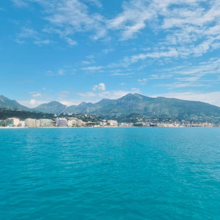 Studio Les Ligures - Appartement 1 Chambre - 22