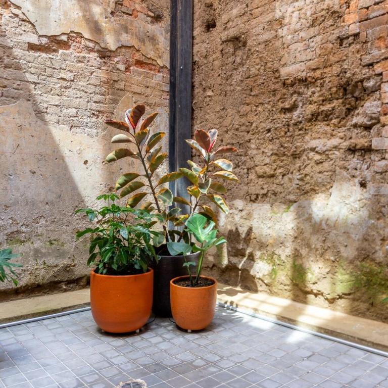 Casa Rosada Candelaria 2BR Private Patio - Apartamento de 1 dormitorio - 4