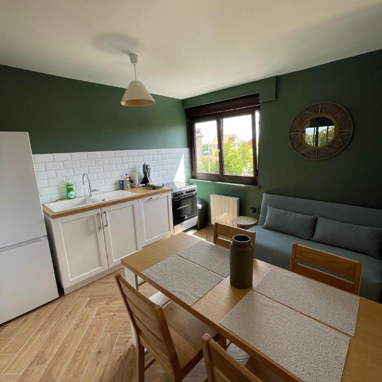COLMAR Centre Private Parking - Appartement 1 Chambre - 4