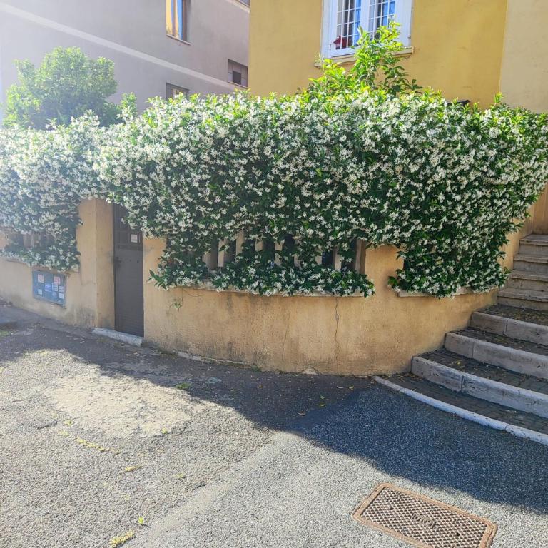 Casa Cartoni - Appartamento con 2 Camere da Letto - 30
