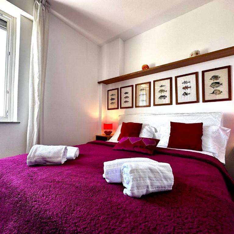 Penthouse Bellavista - Appartamento - 68