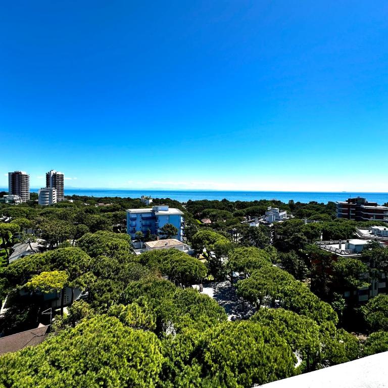 Penthouse Bellavista - Appartamento - 2