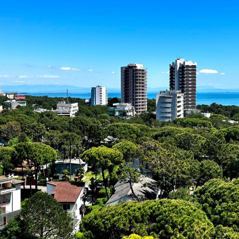 Penthouse Bellavista - Appartamento - 72