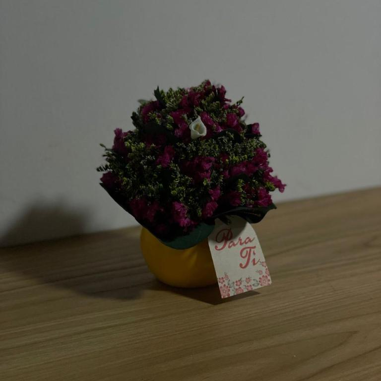 Aparta estudio cerca al aeropuerto - Apartamento de 1 dormitorio - 8