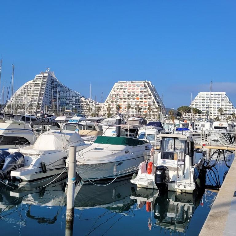 Centre ville, studio vue port, avec parking privé - Apartment mit 2 Schlafzimmern - 16