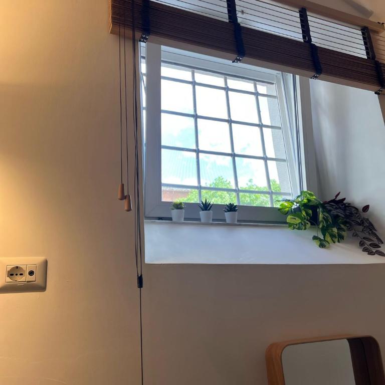 Divine Terrace Stylish Apartment St Peter Rome - Appartamento con 1 Camera da Letto - 56