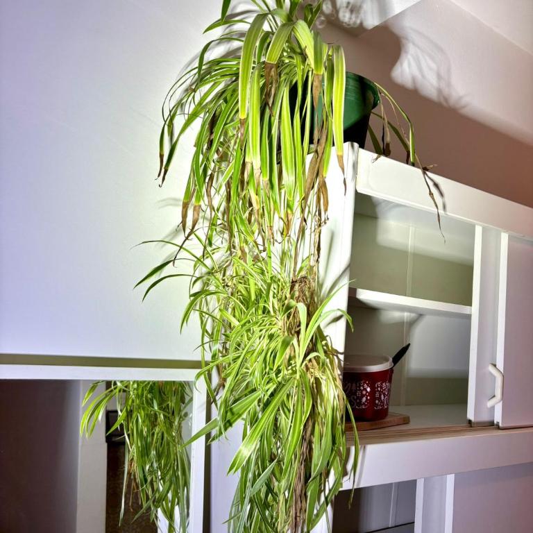 Balkonwohnung Graz neben Mol-Bio - One-Bedroom Apartment - 8