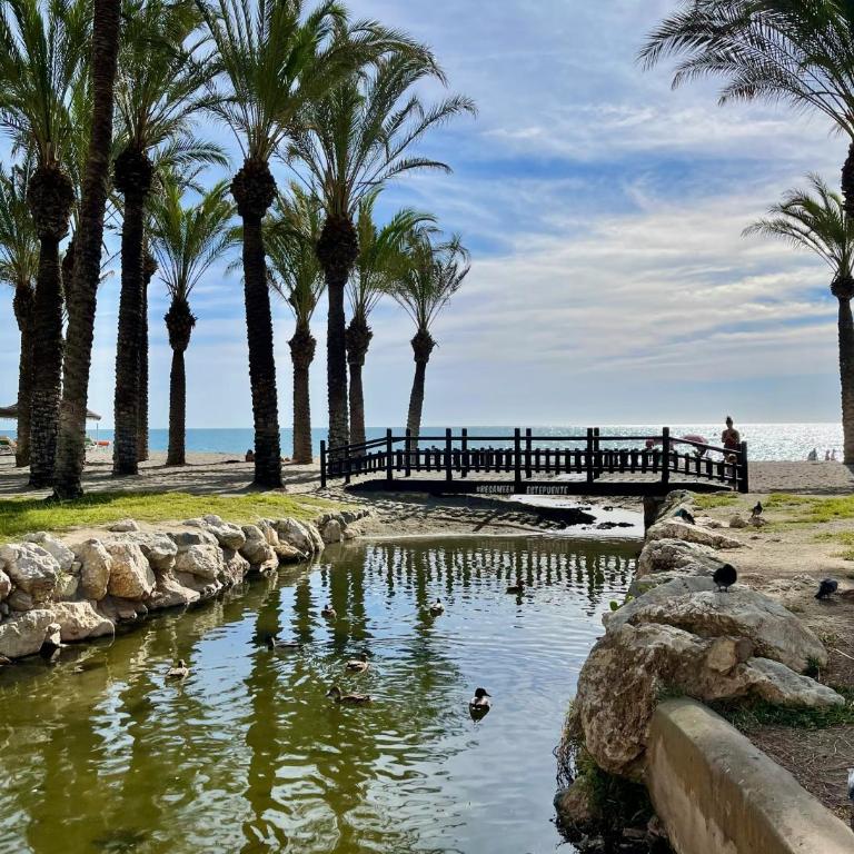 Sunstay Cosy Flat III Benalmadena Golf - Apartamento de 3 dormitorios - 20