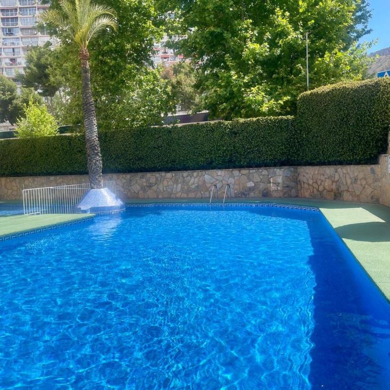 Edificio Cadiz Benidorm - Two-Bedroom Apartment with Terrace - 1
