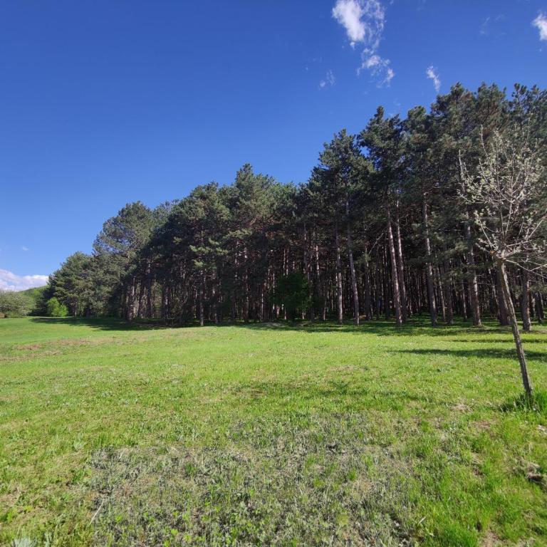 Apartman Kaoma - Apartman sa 1 Spavaćom Sobom - 26