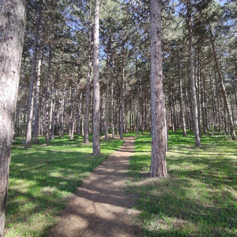 Apartman Kaoma - Apartman sa 1 Spavaćom Sobom - 34