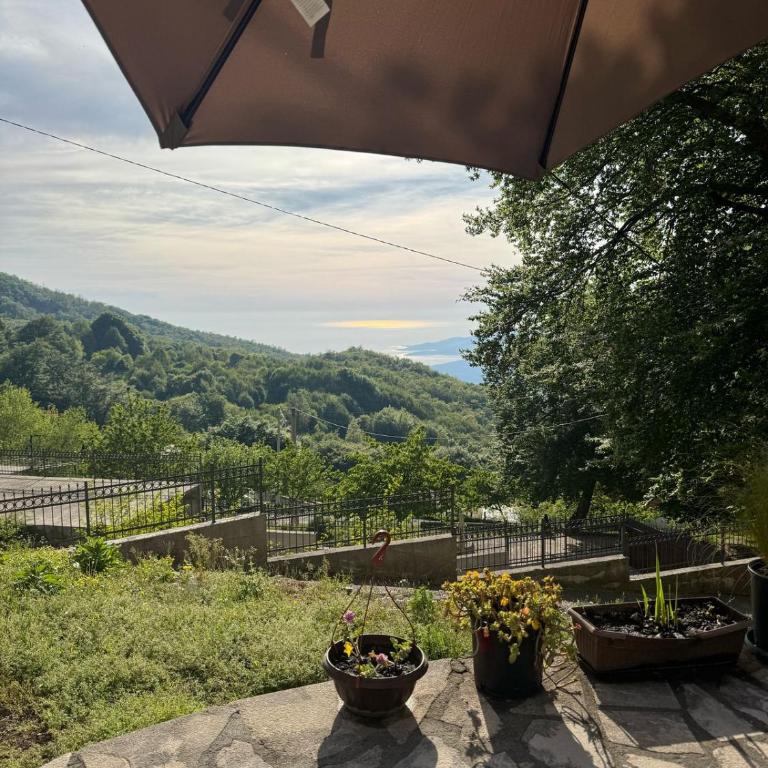 Nature Escape Montenegro - Apartman sa 1 Spavaćom Sobom - 3