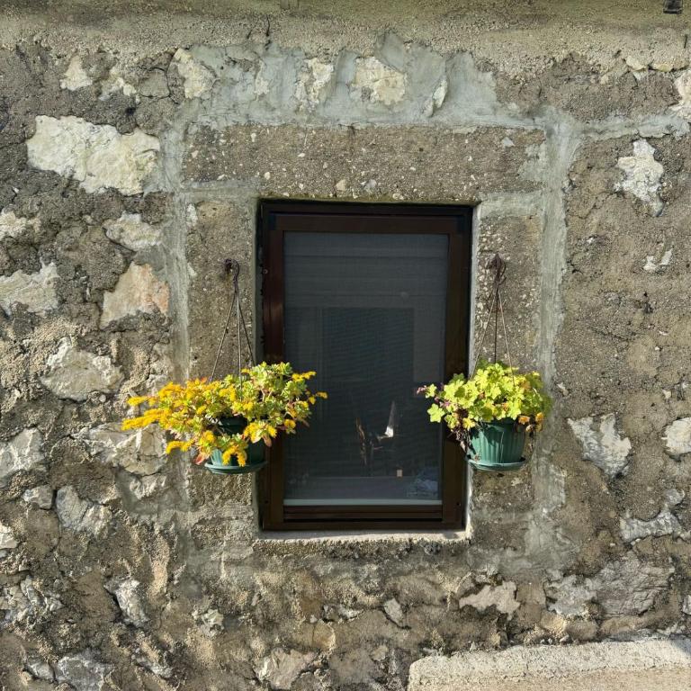 Nature Escape Montenegro - Apartman sa 1 Spavaćom Sobom - 7
