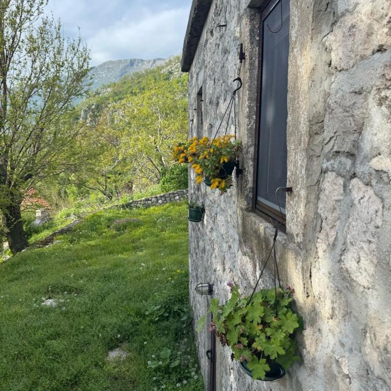 Nature Escape Montenegro - Apartman sa 1 Spavaćom Sobom - 10