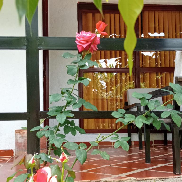 Curitagua Hotel Campestre - Habitación Familiar con baño privado - 26