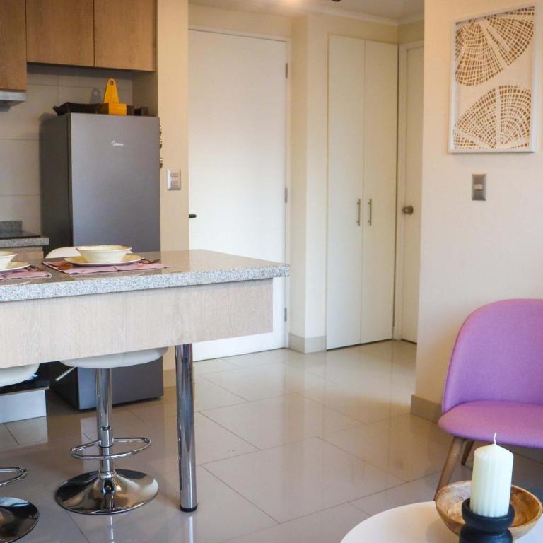 HOM I Precioso depto 1D1B Metro Parque Almagro - Apartamento - 31