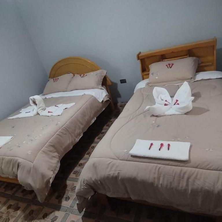 Quilla Wasi Homestay - Double or Twin Room with Private Bathroom - 2