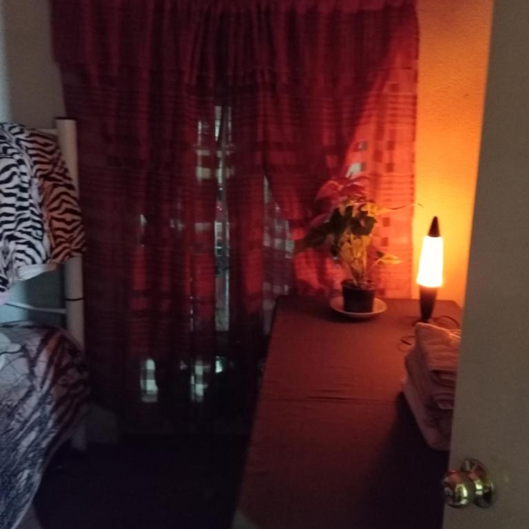 Encantador departamento en CDMX - One-Bedroom Apartment - 4