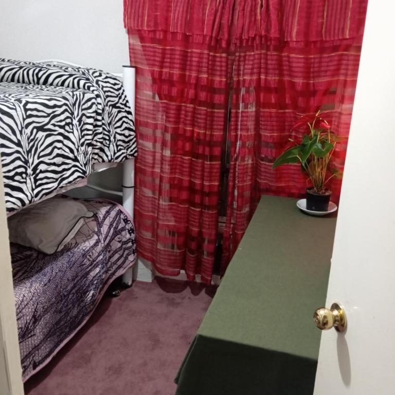 Encantador departamento en CDMX - One-Bedroom Apartment - 7