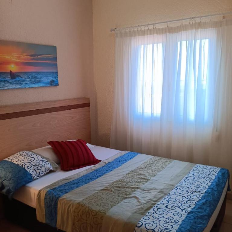 Apartemento Monika Monte Pedrera C 1 TOP Aussicht - Apartamento de 2 dormitorios - 49