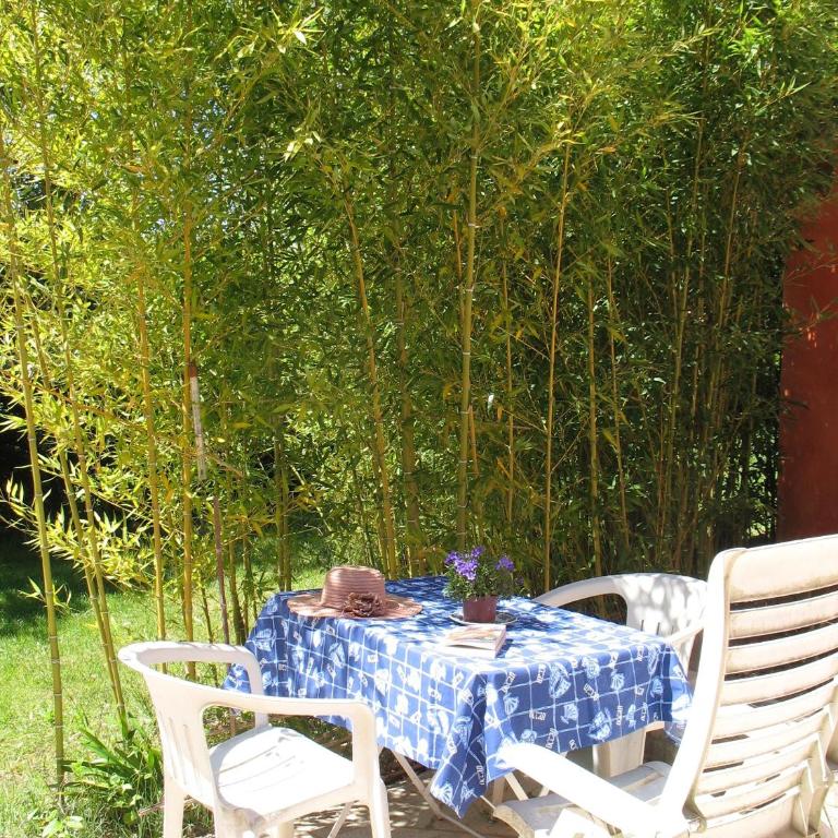 B&B La Cigaline - Chambre Double - Vue sur Jardin - 9