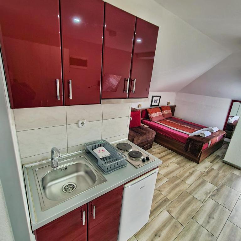 Vila Aleksandra 2 Studio 13 - Studio with Mountain View - 6