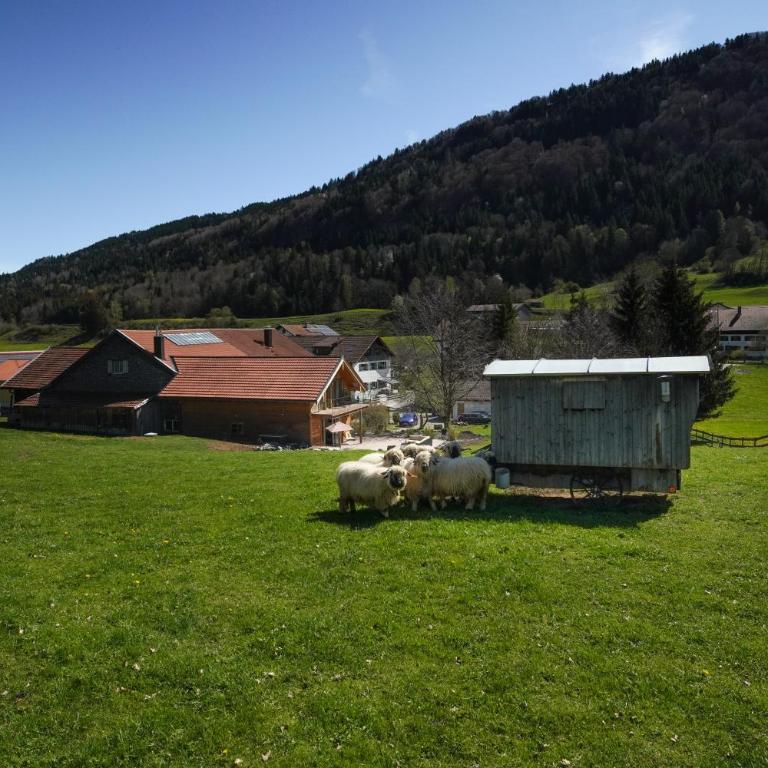 Alpen Lodges Gindels für 10 - Maison 2 Chambres - 42