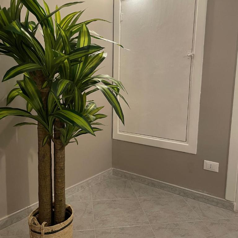 Casa Moly - Appartamento - Piano Terra - 58