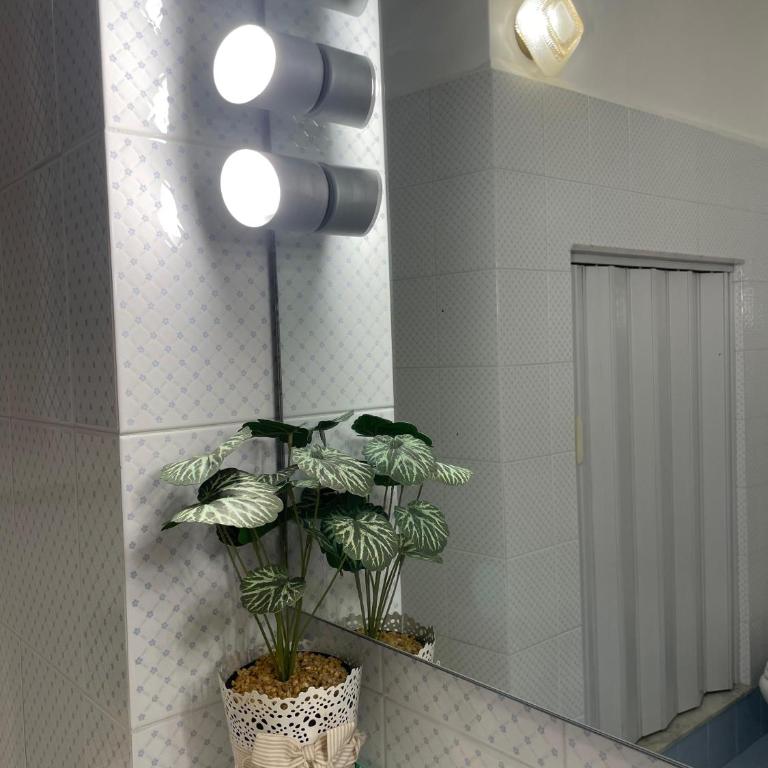 Casa Moly - Appartamento - Piano Terra - 7