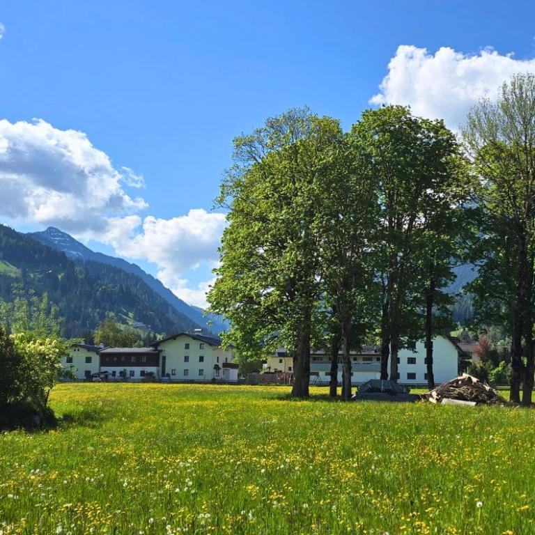 Berg & Natur - Cozy house - Zimmer mit Kingsize-Bett und Bergblick - 27
