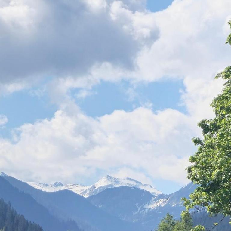 Berg & Natur - Cozy house - Zimmer mit Kingsize-Bett und Bergblick - 28