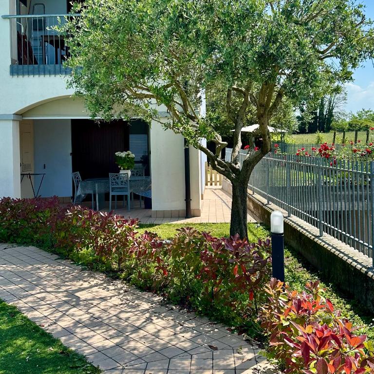 Il Giardino Degli Ulivi - Appartamento - Piano Terra - 1