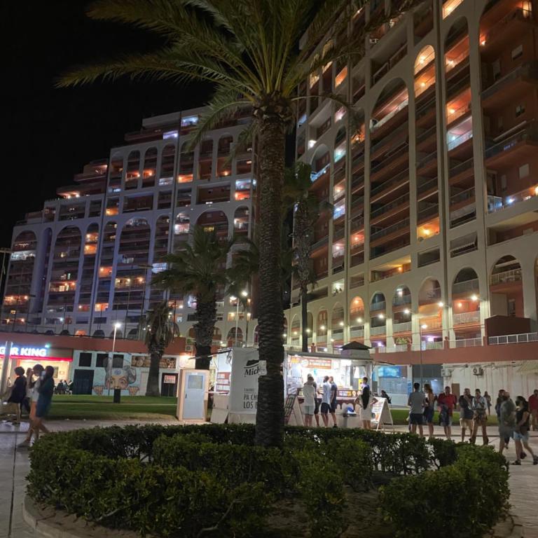 Cataleya Apartment - Three-Bedroom Premium Apartment with Balcony - 2